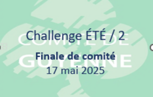 CHALLENGE ETE / 2 FINALE DE COMITE