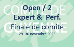 Finale de comité de L'OPEN / 2 Expert et Performance