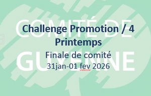 Challenge  de printemps /4