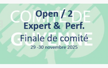 Finale de comité de L'OPEN / 2 Expert et Performance