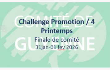 Challenge  de printemps /4