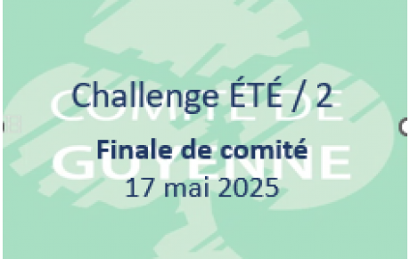 CHALLENGE ETE / 2 FINALE DE COMITE