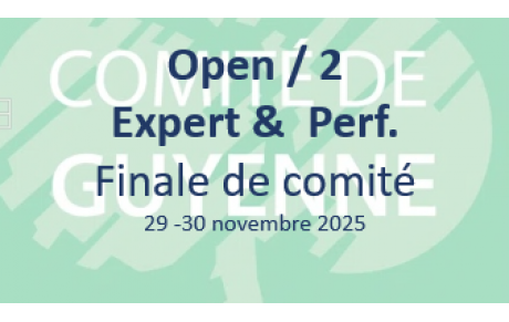 Finale de comité de L'OPEN / 2 Expert et Performance